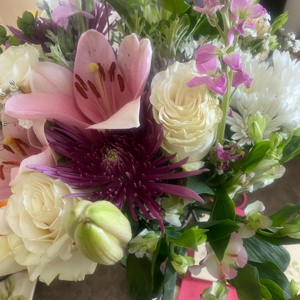 Meet your Posher, Clara